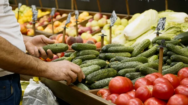 Le mani ravvicinate del droghiere stanno sistemando i cetrioli sugli scaffali dei negozi Immagine Stock