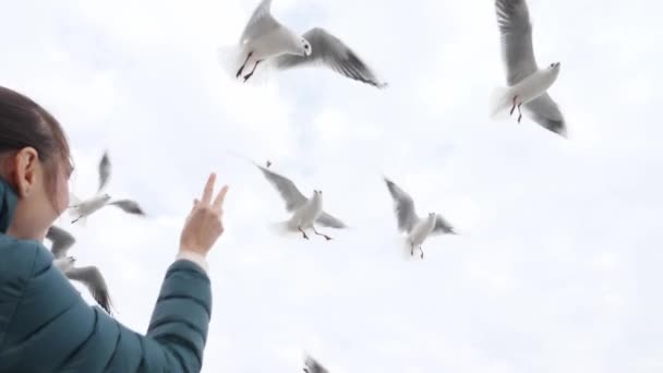 Ung kvinna matar måsar, bakifrån. Hon kastar bröd till fåglar. — Stockvideo