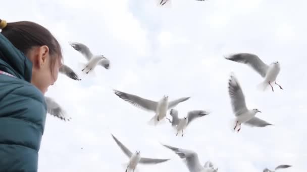 Mulher jovem alimenta gaivotas, visão traseira. Ela está jogando pão para os pássaros — Vídeo de Stock