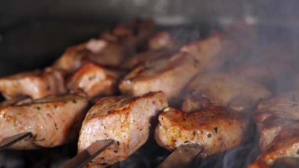 Van hús szakács nyárson faszén, közelkép lassított felvételen. — Stock videók