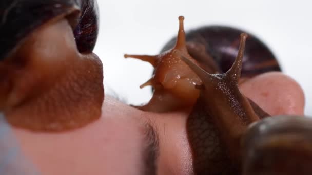 온천에서 달팽이 치료를 받고 있는 여성입니다. 피부 관리를 위해 미끄러지는 달팽이. — 비디오