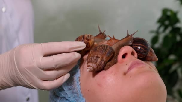 Mujer recibiendo tratamiento de caracoles en el salón de spa. Baba de caracoles para el cuidado de la piel. — Vídeos de Stock