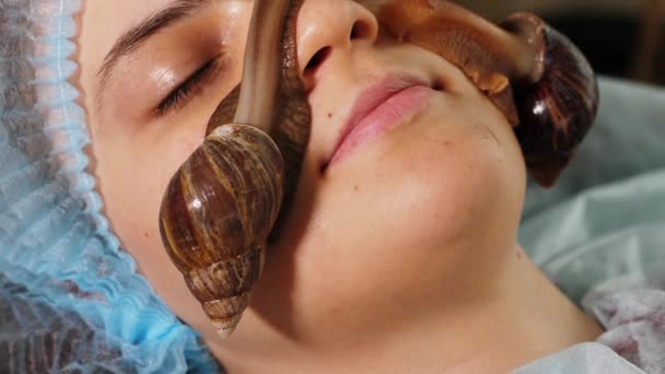 Mulher recebendo tratamento de caracóis no salão de spa. Lodo de caracóis para cuidados com a pele. — Vídeo de Stock
