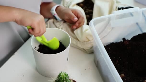 Klein kind meisje transplanteert een cactus in nieuwe pot thuis — Stockvideo