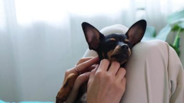 Kadın sahibi, sevimli bir köpeğe masaj yapıyor. Bacağına yalan söylüyor.