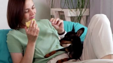 Genç kadın bir elma yiyor ve onu küçük köpeğiyle paylaşıyor.