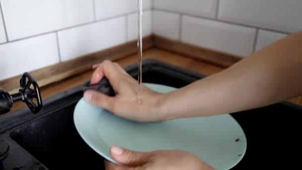 Woman is washing dishes in the domestic kitchen — Stock Video