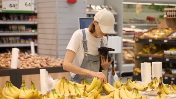 Giovane donna che fa shopping al supermercato con un cagnolino in mano. — Video Stock