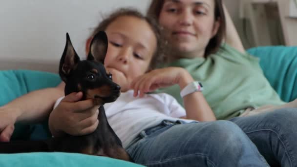 Mother and daughter having a good time with dog at sofa. — Stock Video