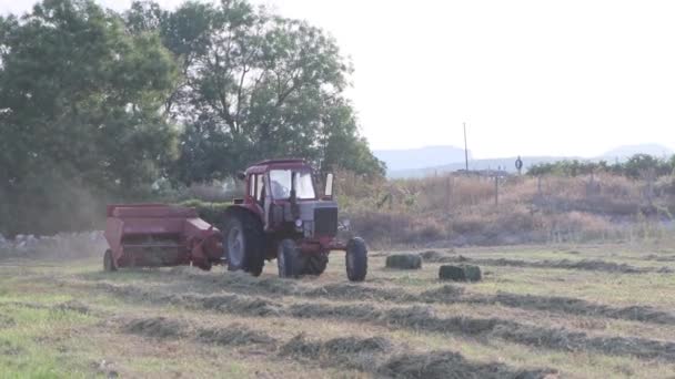 Tractor está formando heno a fardos cuadrados en el campo de tierras de cultivo. — Vídeos de Stock