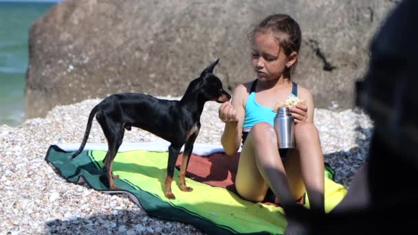 Barnflicka äter på stranden och delar mat med sin hund — Stockvideo