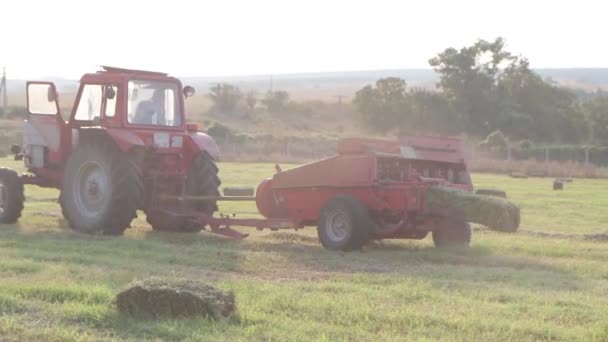 Traktor formt Heu zu quadratischen Ballen auf dem Acker. — Stockvideo