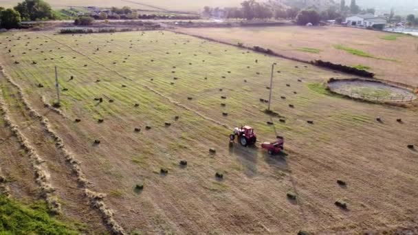 Traktor bildar hö till fyrkantiga balar på åkrarna, flygvy. — Stockvideo