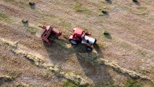 Tractor is forming hay to square bales at the farmland field, aerial view. — Stock Video