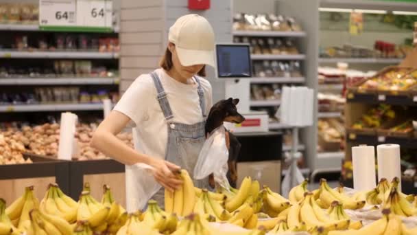Mujer joven comprando en el supermercado con un perrito en sus manos. — Vídeo de stock