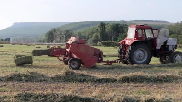 Traktor bildar hö till fyrkantiga balar på åkrarna. — Stockvideo