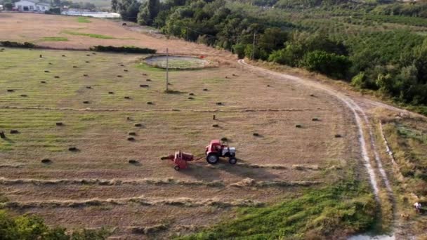 Tractor vormt hooi tot vierkante balen op het landbouwveld, vanuit de lucht gezien. — Stockvideo