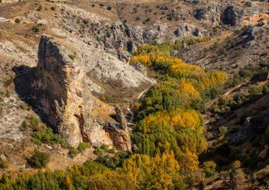Rio Dulce Vadisi, Hoz de Pelegrina, Guadalajara, Castilla la Mancha, İspanya 'da popüler yürüyüş parkuru. Güzel karstik kaya oluşumlarıyla dolu nehir geçidi. Sonbahar