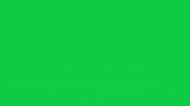 Yeşil ekran arka planında basit parlak yıldız animasyonu. Bayramlık görsel efektler, ışıltı efektleri, bayram dekorasyonları, ışık örtüleri, Noel, Yeni Yıl ve sihirli parlak elementler için ideal..