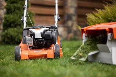 Güneşli bir bahar gününde yeni çim biçme makinesiyle çimen biçiyorum..