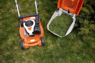 Güneşli bir bahar gününde yeni çim biçme makinesiyle çimen biçiyorum..