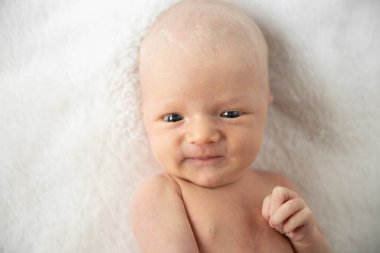 Yeni doğmuş bebek, sarı saçlı çocuk, sarışın. 