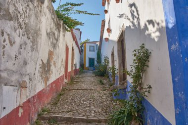 Beyaz duvarlar arasında bir kaldırım taşı sokak rüzgarı. Terracotta çömlekleri ve çiçekli bitkilerle süslenmiş. Mavi gökyüzüne doğru yükselen canlı bir bougainvillea ile doruğa ulaşıyor.. 