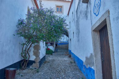 Beyaz duvarlar arasında bir kaldırım taşı sokak rüzgarı. Terracotta çömlekleri ve çiçekli bitkilerle süslenmiş. Mavi gökyüzüne doğru yükselen canlı bir bougainvillea ile doruğa ulaşıyor.. 