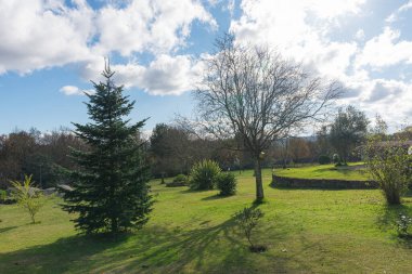 Geniş bir köy tarzı bahçe, canlı mavi bir gökyüzünün altında, süslemeli bir taş çeşme ve gevşemeyi davet eden ahşap mobilyalarla açılıyor. Güneş ışığı çimlerin zengin yeşil tonlarını ve çeşitli ağaç bitkilerini vurgular.