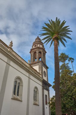 La Laguna Katedrali 'nin görkemli taş kulesi ince bir palmiye ağacının yanında yükselir ve Kanarya Adaları' nın görsel kimliğini vurgulayan dikey bir kompozisyon yaratır..