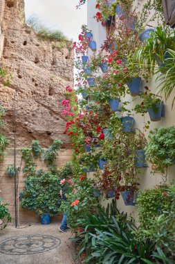 Sardunya, petunya ve bougainvilleas gibi parlak çiçeklerle dolu geleneksel Endülüs verandası, beyazlatılmış duvarlar ve merkezi bir kuyu. Doğal ışık ve el yapımı elementlerle uyumlu bir kompozisyon.,