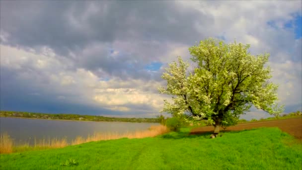 Landscape, changeable weather. time lapse — Stock Video