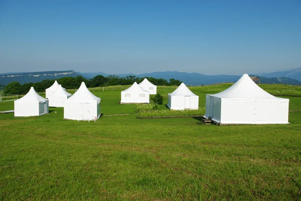 Белая палатка на зеленой траве — стоковое фото