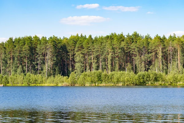Skogen på banken av en bred sjö — Stockfoto