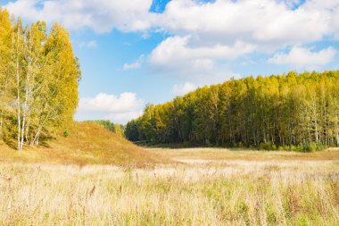 Alan, orman ve gökyüzü Güz
