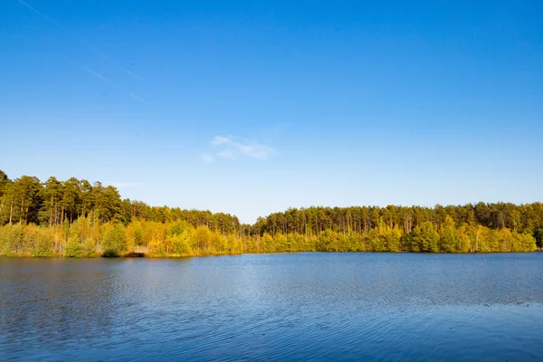 Lugna klara sjö i skogen — Stockfoto