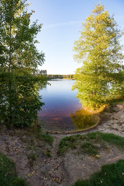 Lugna klara sjö i skogen — Stockfoto