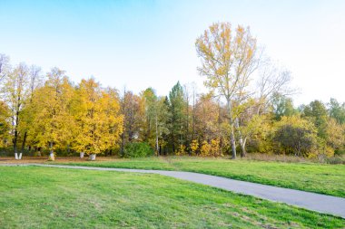 Patika ve ağaçlar sonbahar parkında