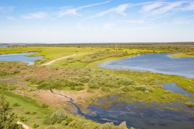 Yeşil alanlarda birçok göller