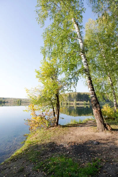 Lugna klara sjö i skogen — Stockfoto