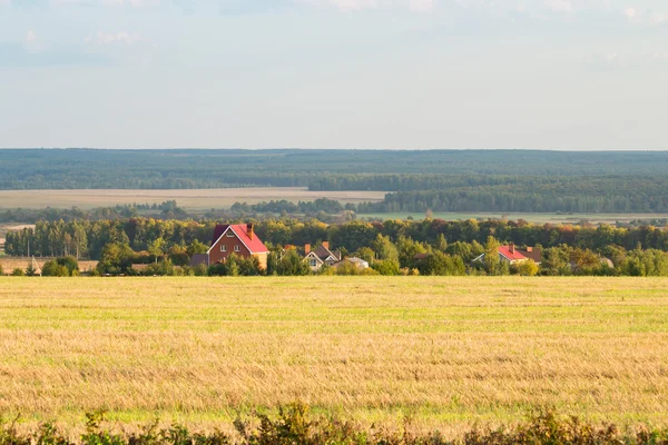 Feld, Wald und Häuser in der Ferne lizenzfreie Stockbilder