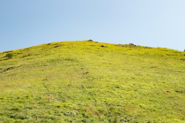 Yeşil çim ve gökyüzü kaplı Hill