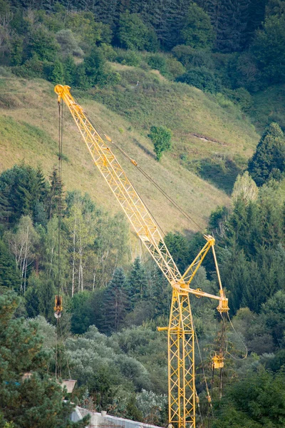 Yaz aylarında ormanda çalışan inşaat vinç