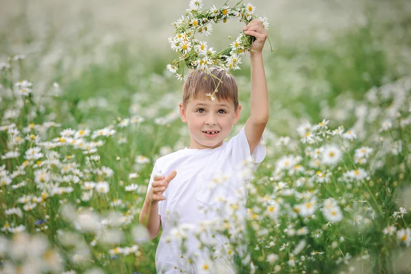 フィールドに野生のデイジーの花の少年. — ストック写真