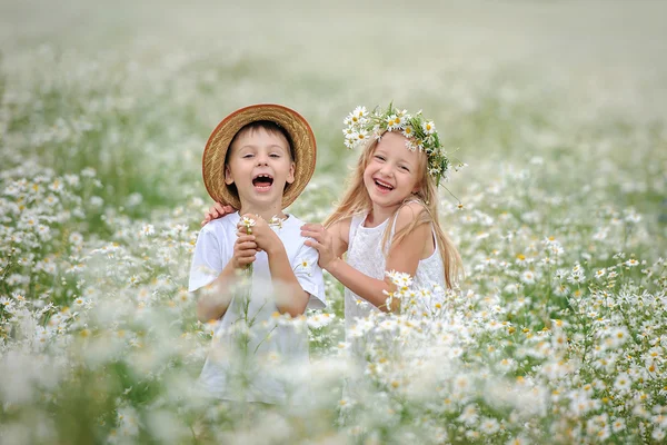 Niño con chica en el campo de flores —  Fotos de Stock