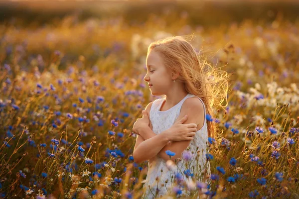 Kid play in a meadow on summer day. — Stock Photo, Image