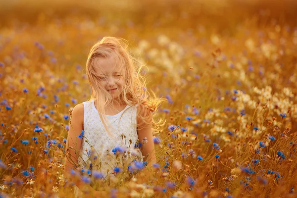 Kid play in a meadow on summer day. — Stock Photo, Image