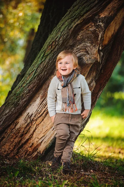 Маленький мальчик играет на дереве — стоковое фото