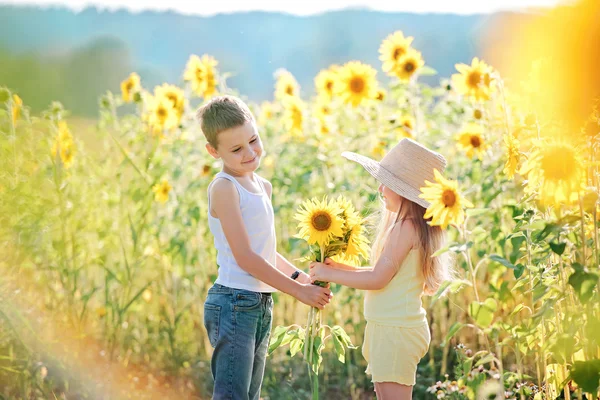 Niedliche Kinder in Sonnenblumen — Stockfoto