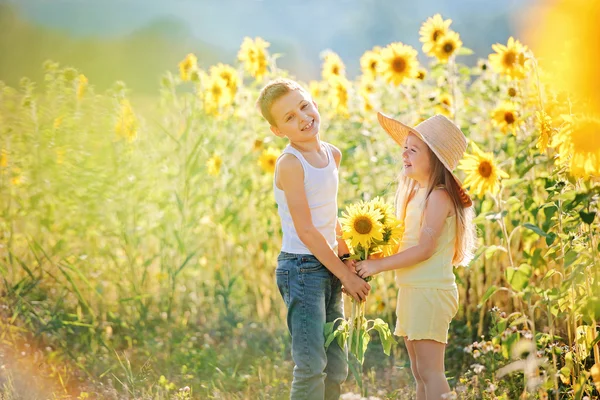 Niedliche Kinder in Sonnenblumen — Stockfoto